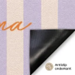 Ciao Deurmat klein -antislip_NL