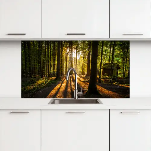 Zon - Bomen - Bos - Landschap - Natuur keuken achterwand 2 middel -3d