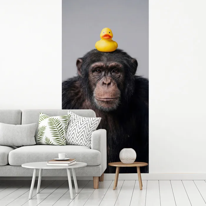 Chimpansee - Badeend - Grijs fotobehang vinyl groot -woonkamer