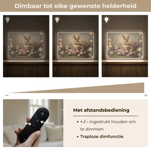 Haas - Stilleven - Bloemen Light Box met batterij (Wandlamp) middel -USP_dimbaarNL
