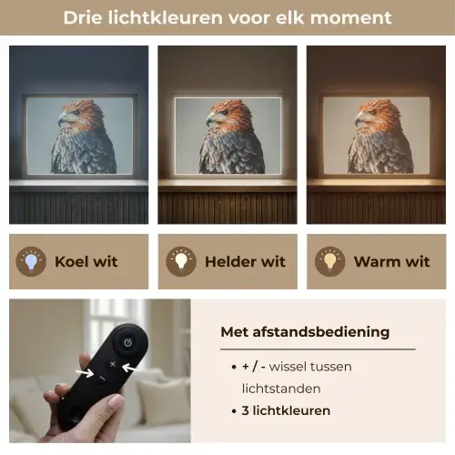Vogel - Realistisch - Veren - Bruin Light Box met batterij (Wandlamp) middel -USP_lichtkleurNL