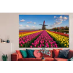 Tulpen - Holland - Molen - Kleurrijk forex 5mm xxl -woonkamer