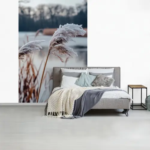 Riet - Gras - Natuur - Winter - Meer fotobehang vinyl groot -slaapkamer
