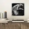 Adelaar - Portret - Roofvogels - Zwart - Wit - Vogel plexiglas 5mm klein -sfeer1