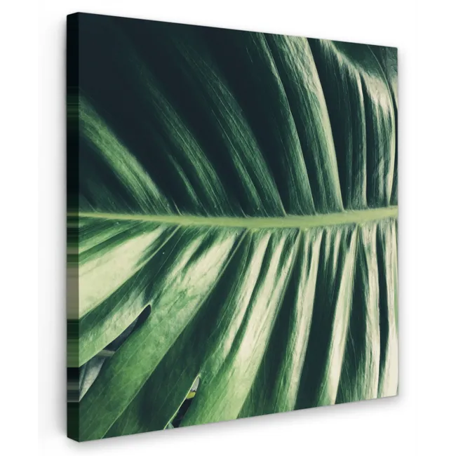 Tropisch - Inductie mat - Natuur - Inductie beschermer - Jungle Tuinposter op houten frame 2 cm dik klein -3d