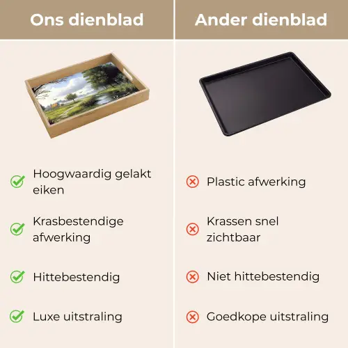 Zandpad - Groen landschap - Water Dienblad Rechthoek middel -USP_VergelijkingNL