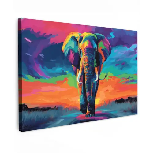 Olifant - Kleurrijk - Lucht - Abstract canvas 2cm klein -z3d