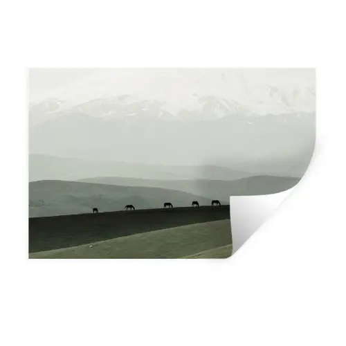 Grijs - Berg - Paarden Muursticker klein -3d
