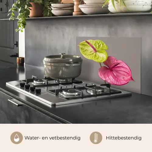 Planten - Anthurium - Groen - Roze keuken achterwand spatscherm klein -usp_NL