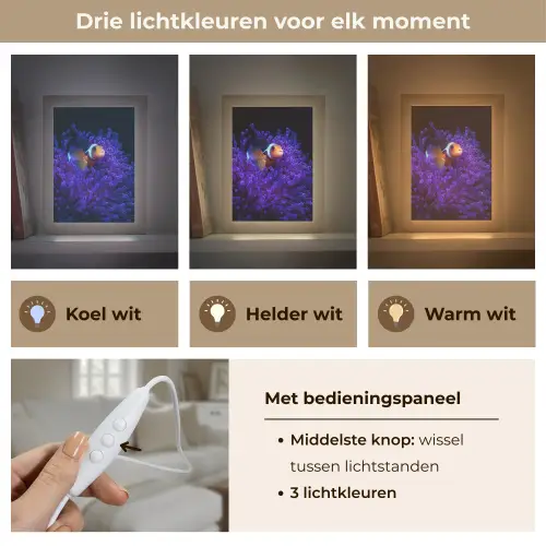 Koraal - Vis - Oranje - Zee Light Box met kabel (Tafellamp) klein -USP_lichtkleurNL
