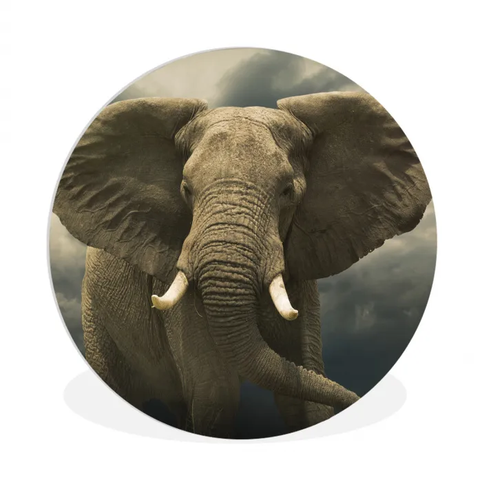 Afrikaanse olifant tegen de donkere wolken Wandcirkel kunststof plaat 5mm dik groot -3d