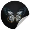 Vlinder - Monochroom - Balans Wandcirkel behangsticker klein -3d