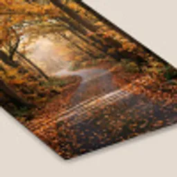 Bospad - Herfstbos - Bladeren - Oranje - Nostalgisch fotolijst zwart zonder passe partout klein -zsfeer6
