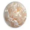 Close up - Pioenroos - Lichtroze Akoestische PET Vilt - Rond klein -3d