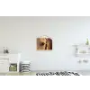 Paard - Oog - Bruin textielposter latten blank klein -kinderkamer