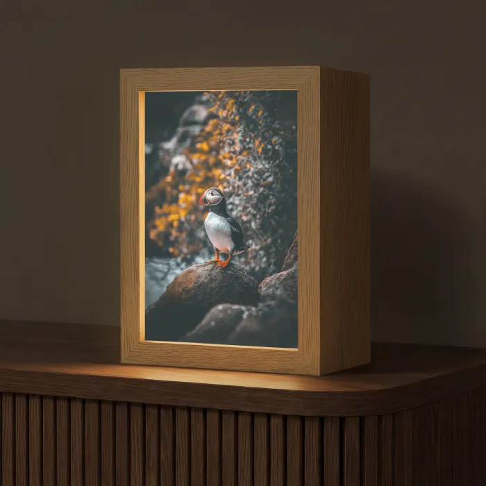 Papegaai - Vogel - Rots - Wit Light Box met kabel (Tafellamp) klein -z3d_website
