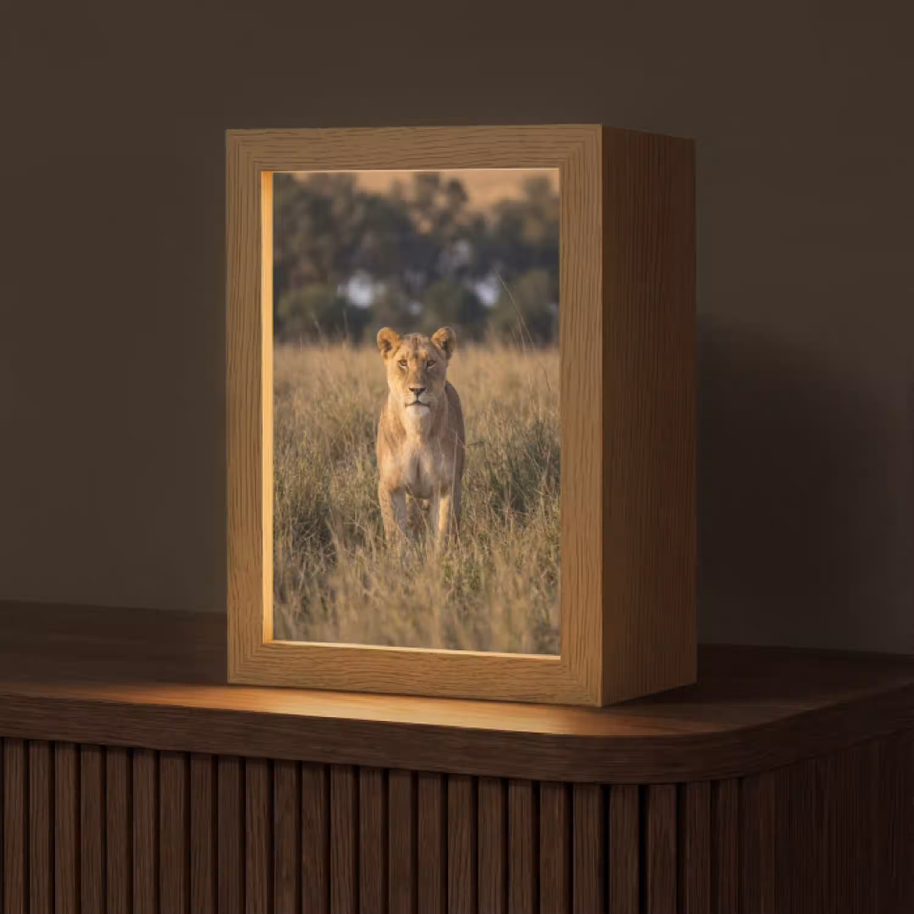 Leeuwin - Gras - Geel Light Box met kabel (Tafellamp) klein -z3d_website