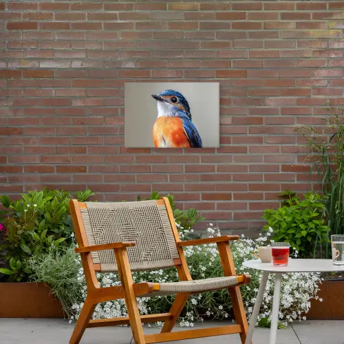 Kleurrijk - Vogeltje - Veren - Blauw Tuinposter op houten frame 2 cm dik klein -sfeer3