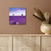 Lavendel - Natuur - Paars - Bomen - Bloemen aluminium wit klein -sfeer4