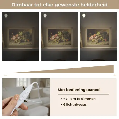 Fruit - Stilleven met druiven - Oude meesters Light Box met kabel (Tafellamp) klein -USP_dimbaarNL