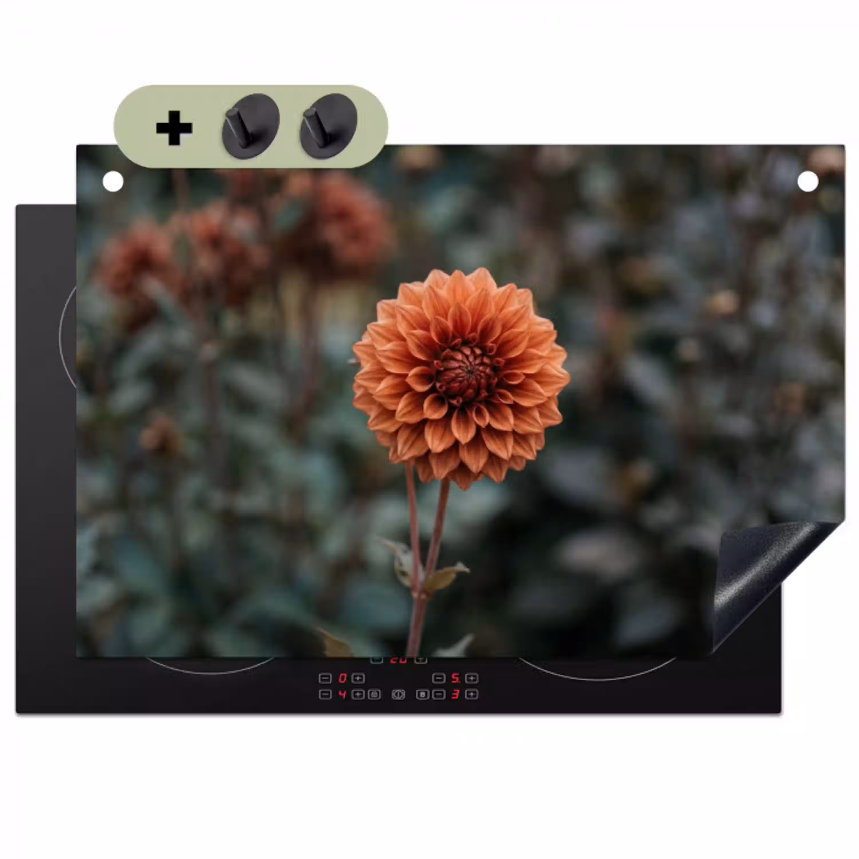 Dahlia - Bloem - Natuur - Sfeervol Inductie beschemer met haakjes klein -3d