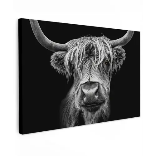 Schotse Hooglander - Horens - Zwart - Wit - Koe - Wild - Dieren canvas 2cm klein -z3d