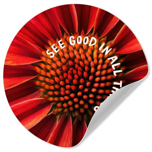 Close up - Bloem - Quote - Rood Wandcirkel behangsticker klein -3d