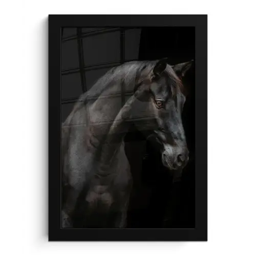 Paard - Dieren - Zwart - Portret fotolijst zwart zonder passe partout klein -3d