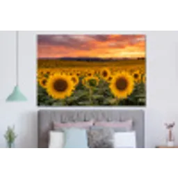 Zonnebloemen - Heuvellandschap - Geel forex 5mm xxl -slaapkamer