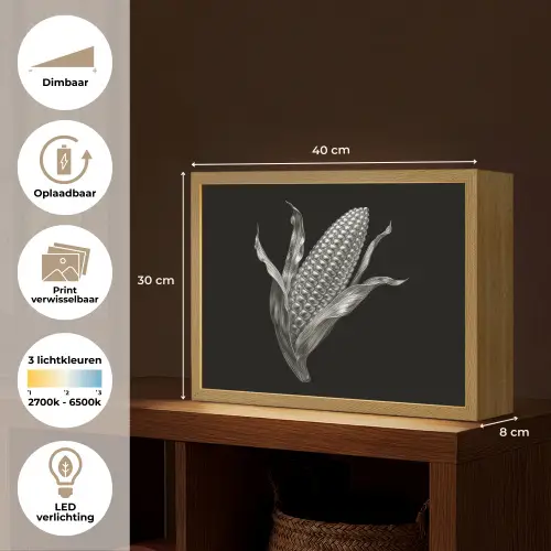 Maïskolf - Glanzend metaal - Elegant Light Box met batterij (Wandlamp) middel -USP_websiteoverzichtNL