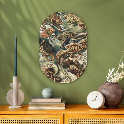 Vintage - Kunst - Ernst Haeckel - Salamanders Wandcirkel Ovaal Forex klein -sfeer2
