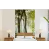 Bos - Zon - Seizoenen - Landschap fotobehang vinyl groot -bed