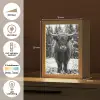 Schotse hooglander - Zwart - Wit - Sneeuwvlokken Light Box met kabel (Tafellamp) klein -USP_NL