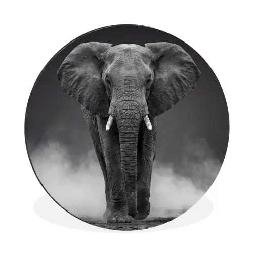 Olifant - Zwart - Wit - Rook Wandcirkel aluminium klein -3d