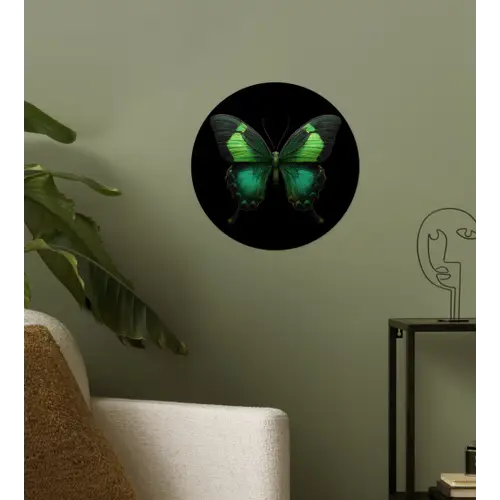 Vlinder - Groen - Opvallend Wandcirkel behangsticker klein -sfeer2