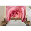 Roze - Roos - Romantisch fotobehang vinyl groot -bed