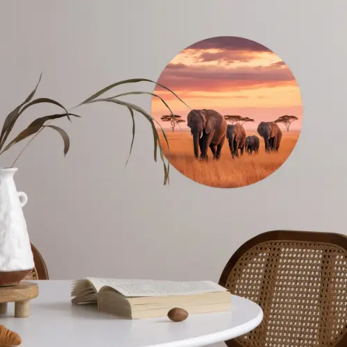 Groep olifanten - Open vlakte - Zon Wandcirkel behangsticker klein -sfeer3