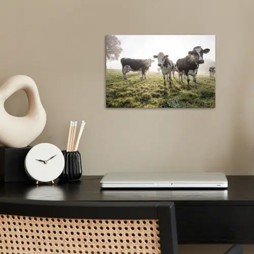 Koeien - Licht - Gras - Dieren poster papier klein -sfeer1