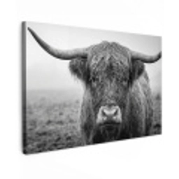 Schotse hooglander - Zwart - Wit - Gras Tuinposter op houten frame 2 cm dik klein -3d