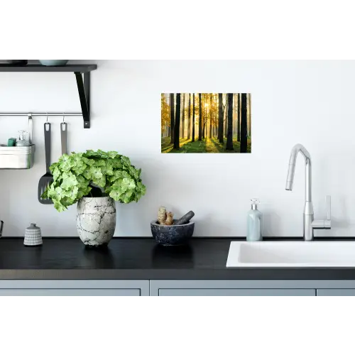 Bos - Zon - Bomen - Gras - Landschap Muursticker klein -keuken