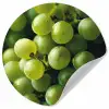 Druiven - Tros - Groen Wandcirkel behangsticker klein -3d