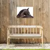 Portret - Paard - Elegant Tuinposter op houten frame 2 cm dik klein -sfeer4