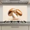 Champignons - Zacht - Beige keuken achterwand spatscherm klein -3d_website