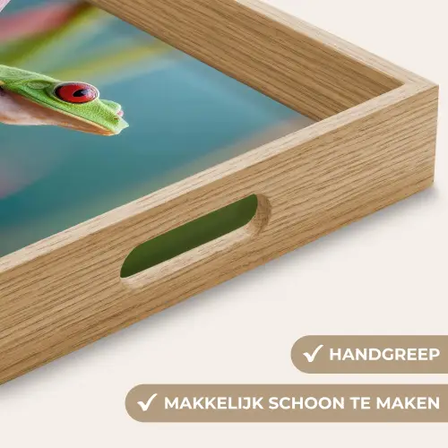 Kleurrijke kikker - Groene stengel - Alert Dienblad Rechthoek middel -USP_HandgreepNL