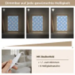 Ganzen - Elegant - Blauw Light Box met kabel (Tafellamp) klein 925 -USP_dimbaarDE