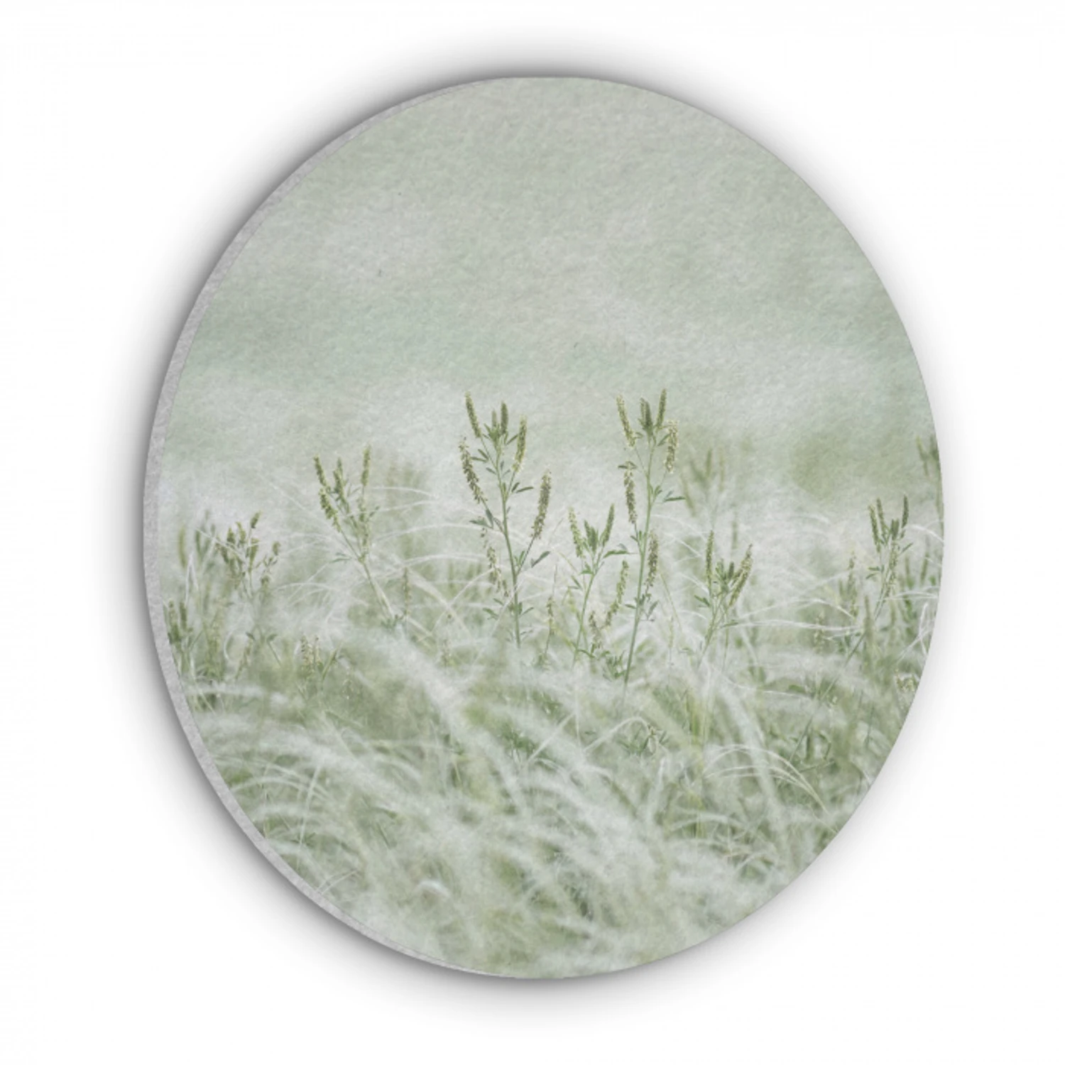 Grassen - Minimalistisch - Groen Akoestische PET Vilt - Rond klein -3d