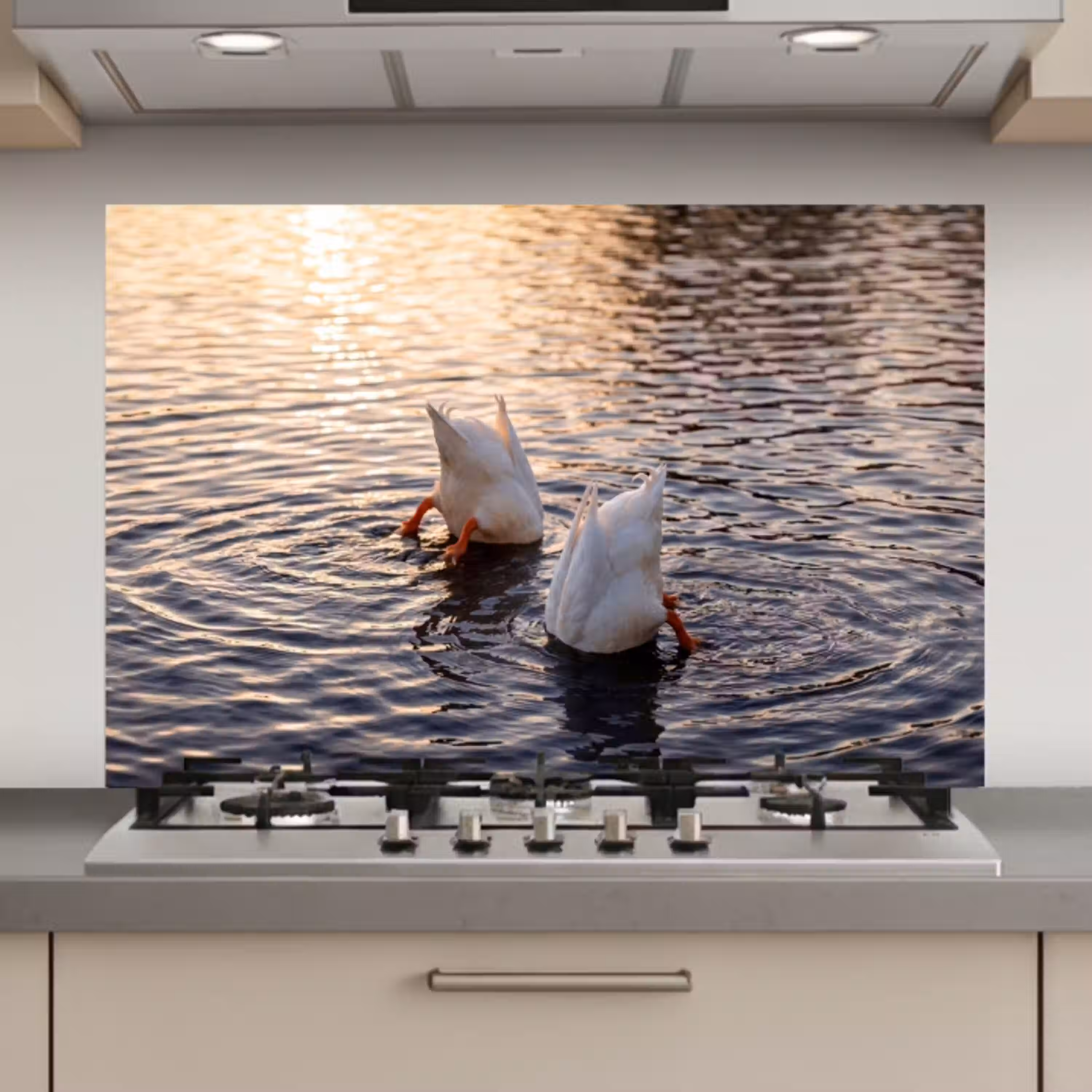 Eenden - Water - Natuur keuken achterwand spatscherm klein -3d_website