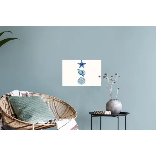Zeester - Schelpen - Blauw Muursticker klein -plant