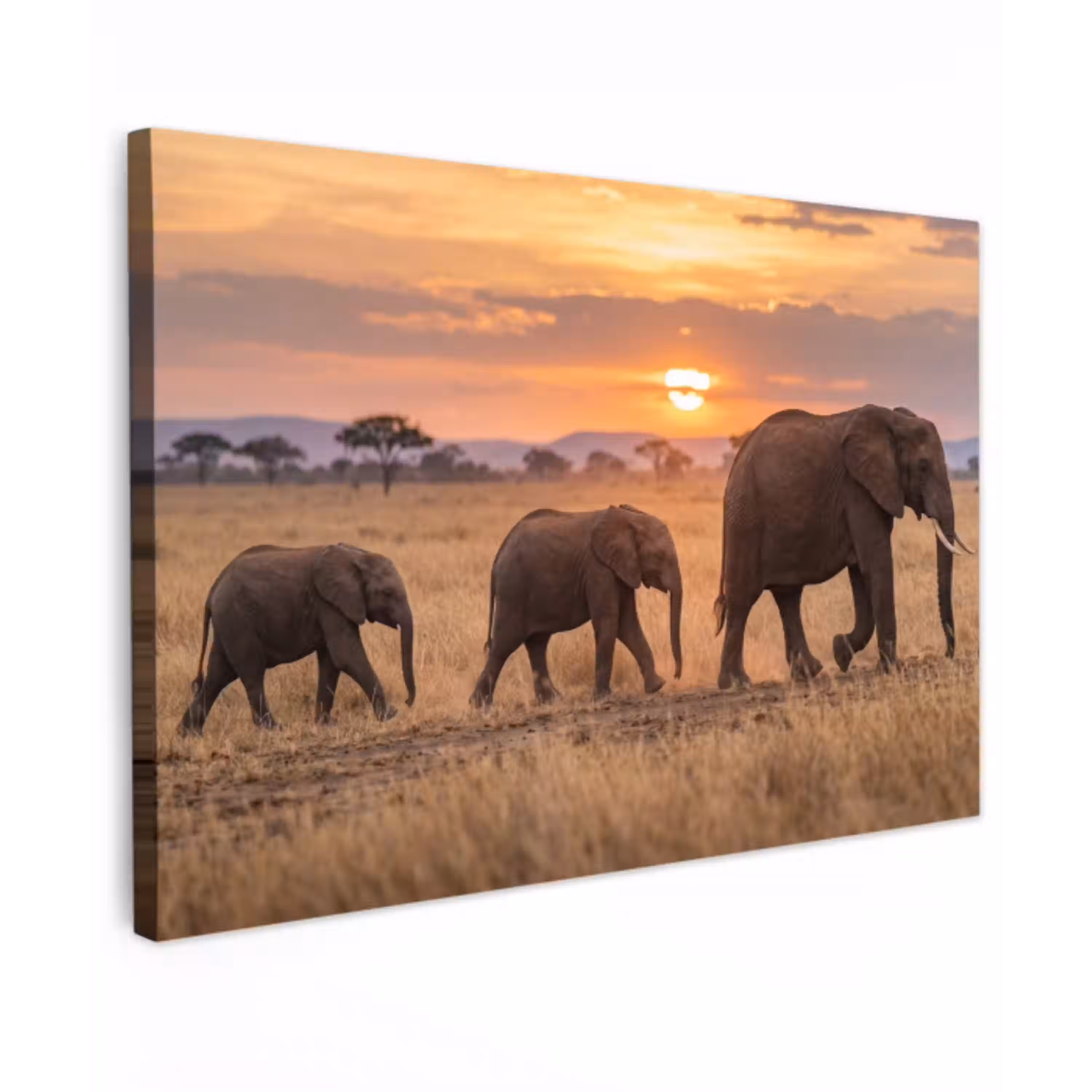 Olifanten - Savanne - Zonsondergang - Afrika - Warm Tuinposter op houten frame 2 cm dik klein -3d