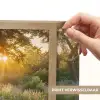 Pad - Bloemen - Park Light Box met batterij (Wandlamp) middel -USP_websiteprintNL